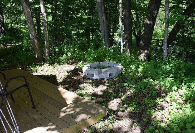 호텔 Peyper Fields