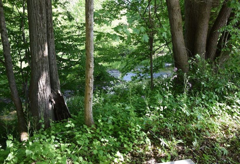 호텔 Peyper Fields