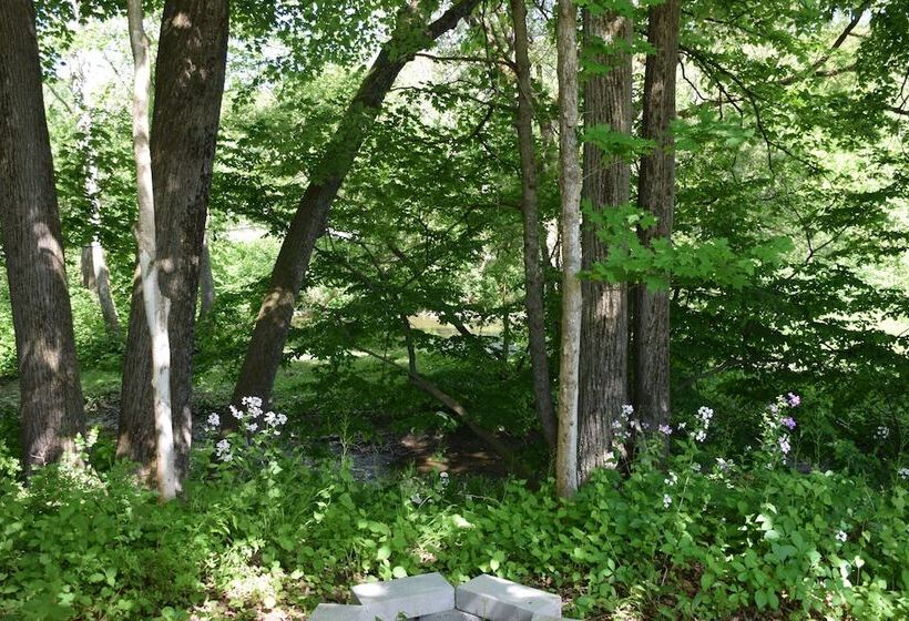 호텔 Peyper Fields