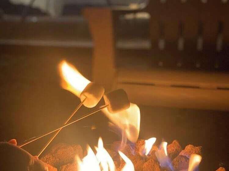 בית מלון כפרי White Camel