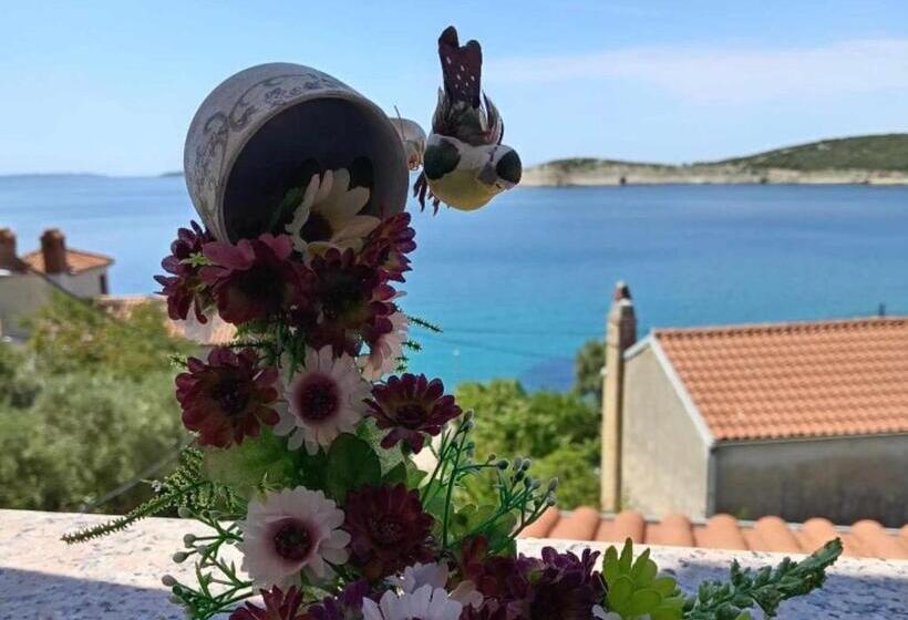 Пансион Apartments Julia