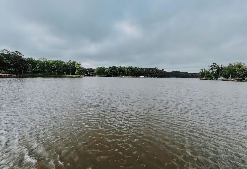 Starlight Haven Weiss Lake