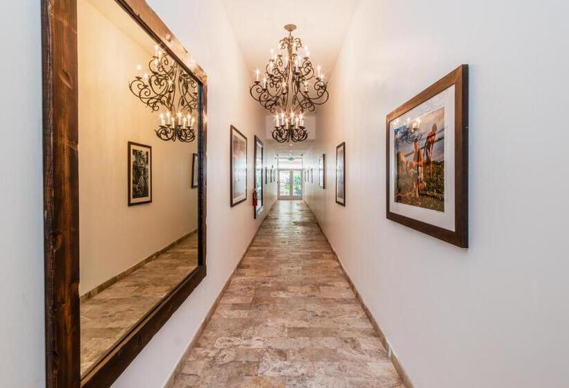 The Link Hotel South Beach