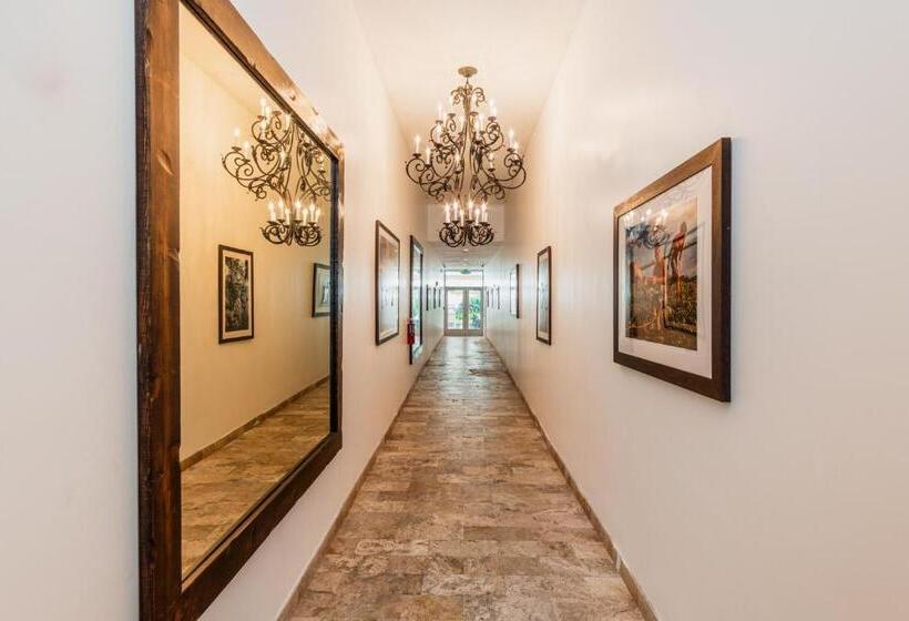 The Link Hotel South Beach