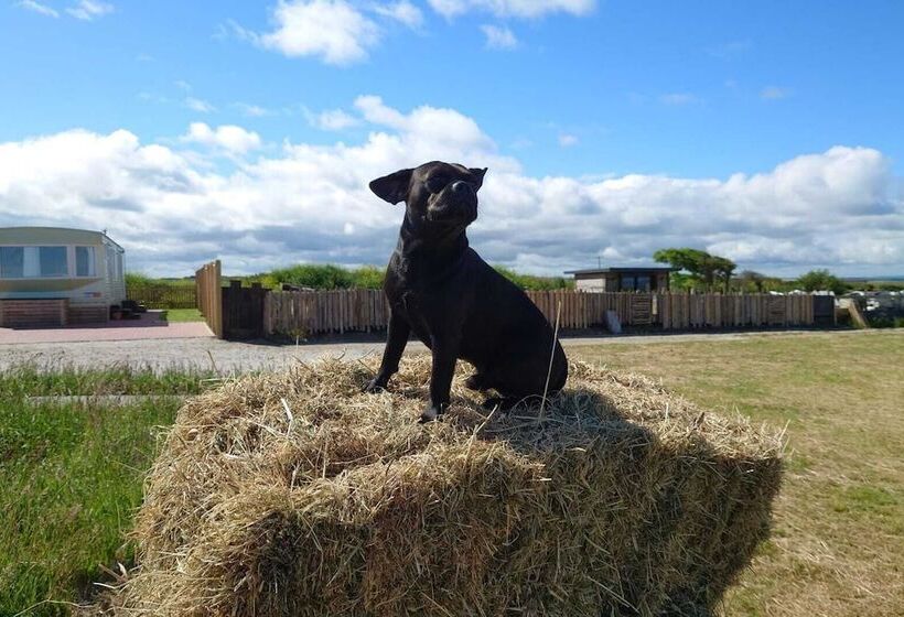 Watergate Lane Hideout