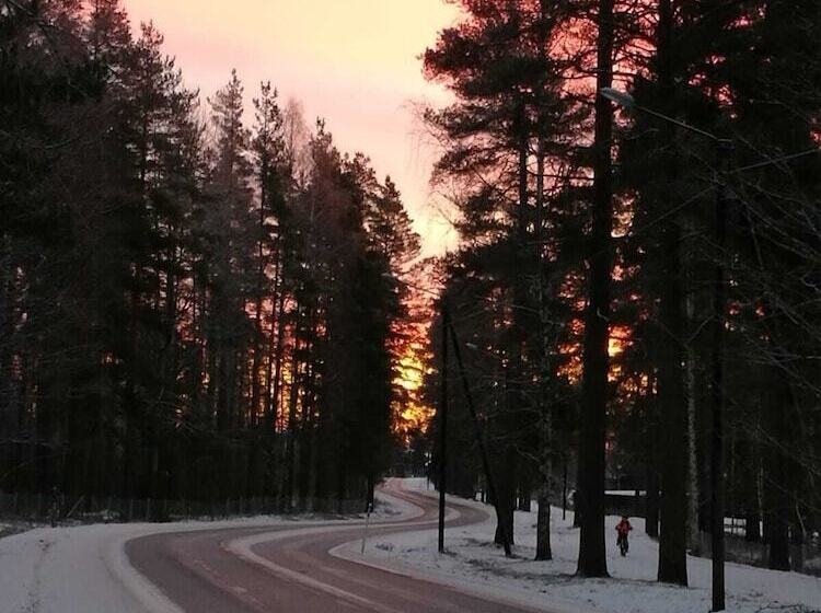 ユースホステル Immalanjärvi