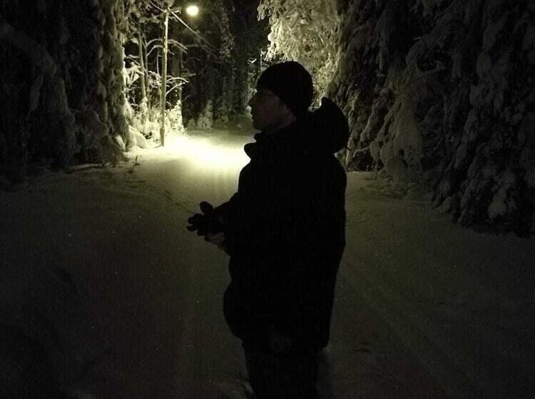 ユースホステル Immalanjärvi