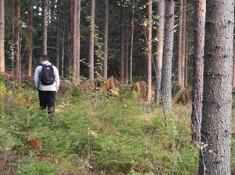 ユースホステル Immalanjärvi