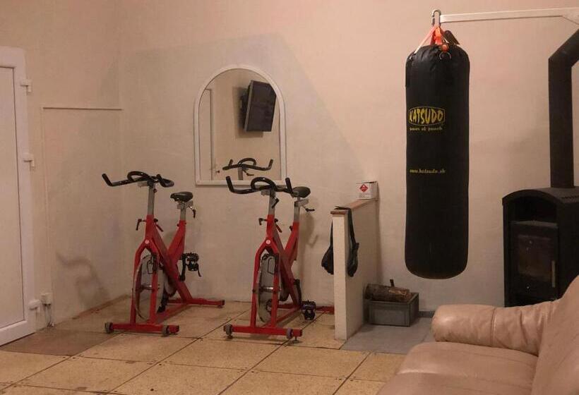 Общежитие Penzion B5