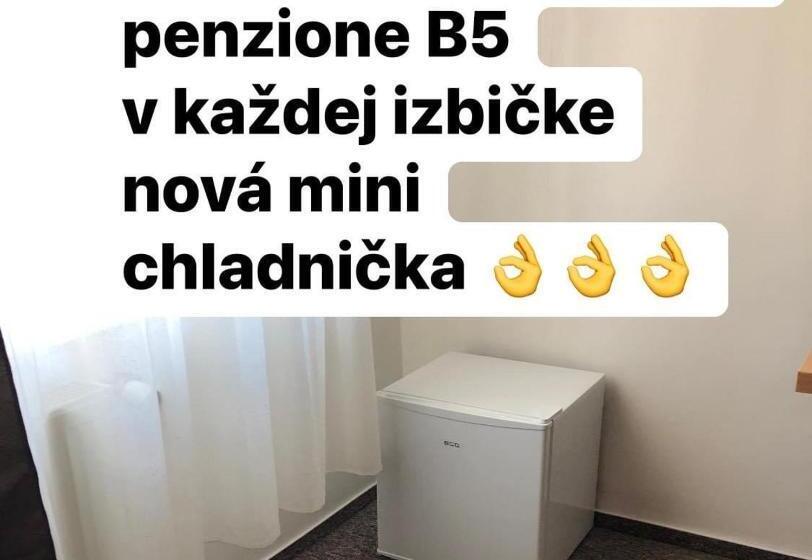 Общежитие Penzion B5