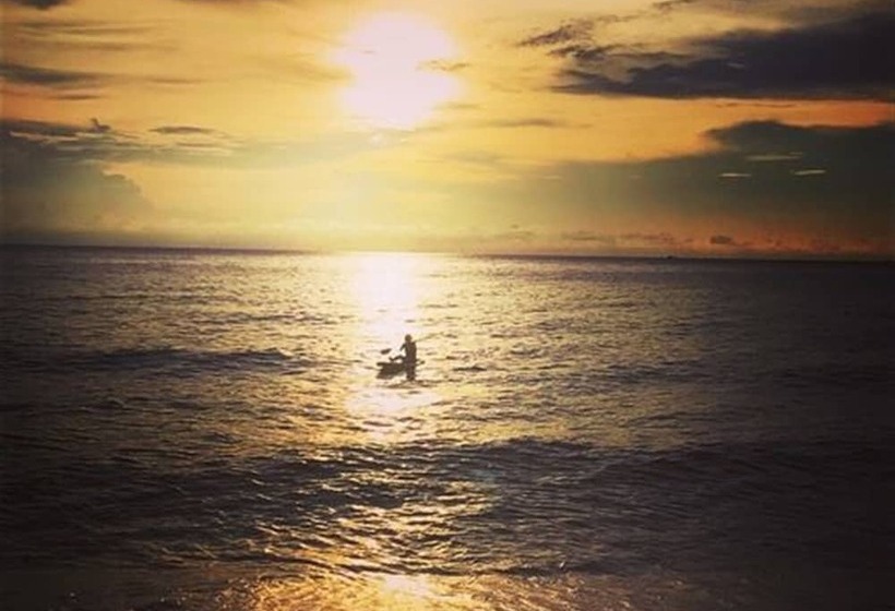 旅馆 Robinson Bungalows