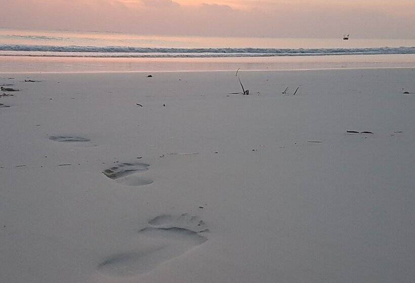 ユースホステル Sagando Bungalows