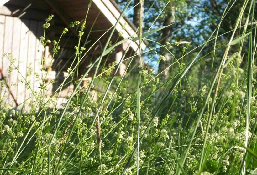 住宿加早餐  Brinkin Wanha Pappila