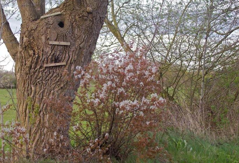 Bed and Breakfast Cuisinerie Mensinge With Dreams