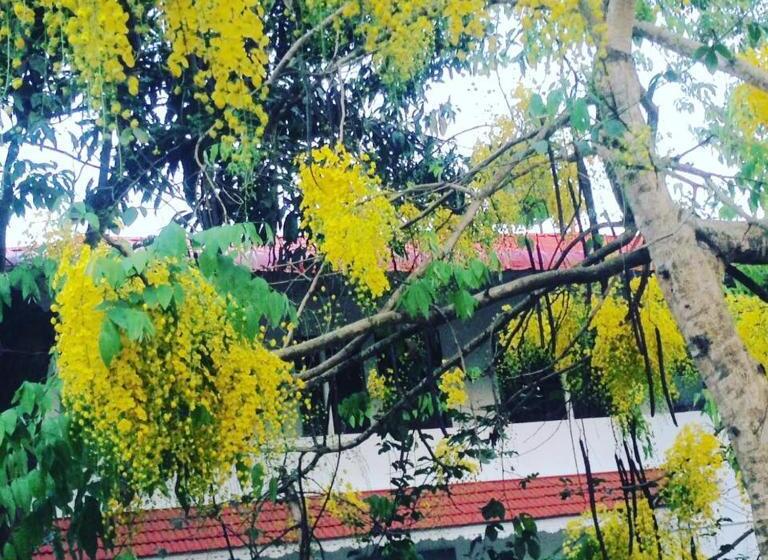 تختخواب و صبحانه Green Leaf Home Stay