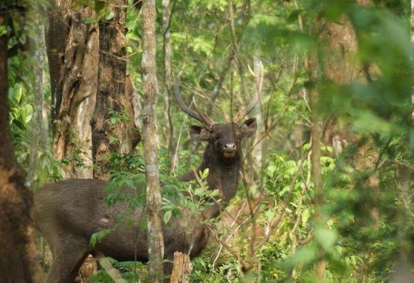 تختخواب و صبحانه Green Leaf Home Stay