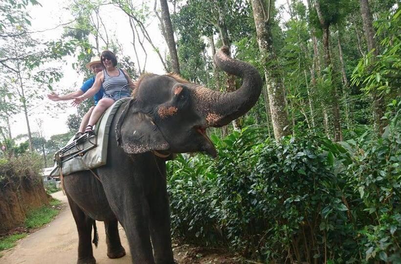 تختخواب و صبحانه Green Leaf Home Stay