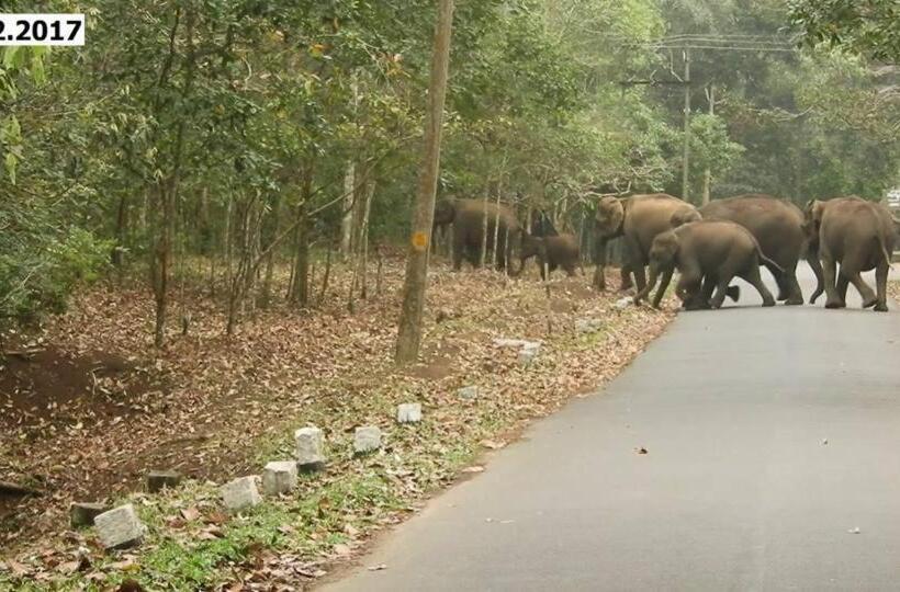 تختخواب و صبحانه Green Leaf Home Stay