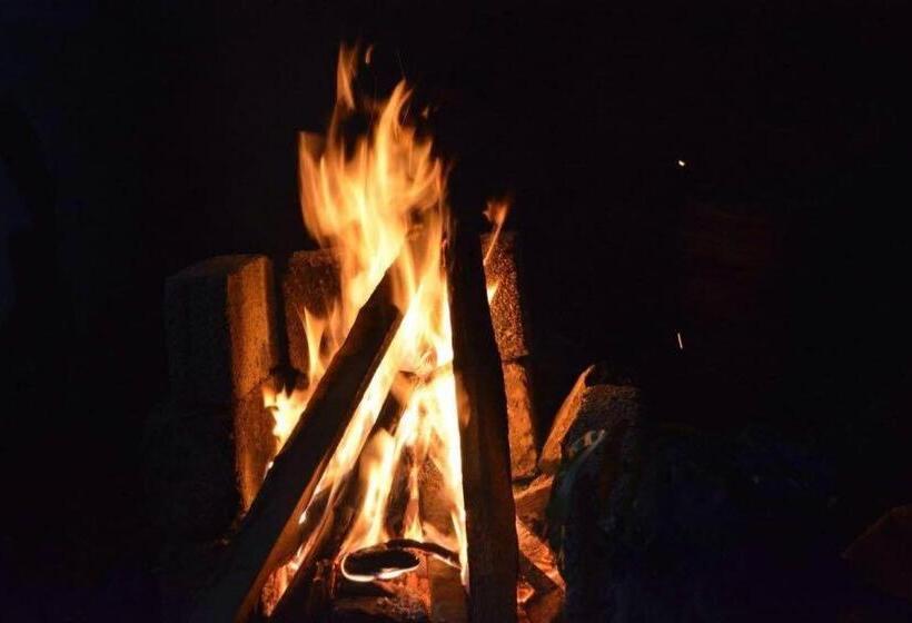 تختخواب و صبحانه Green Leaf Home Stay