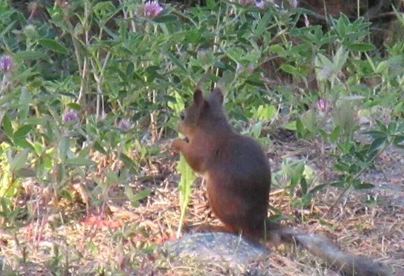 צימר Gästhem Kronan