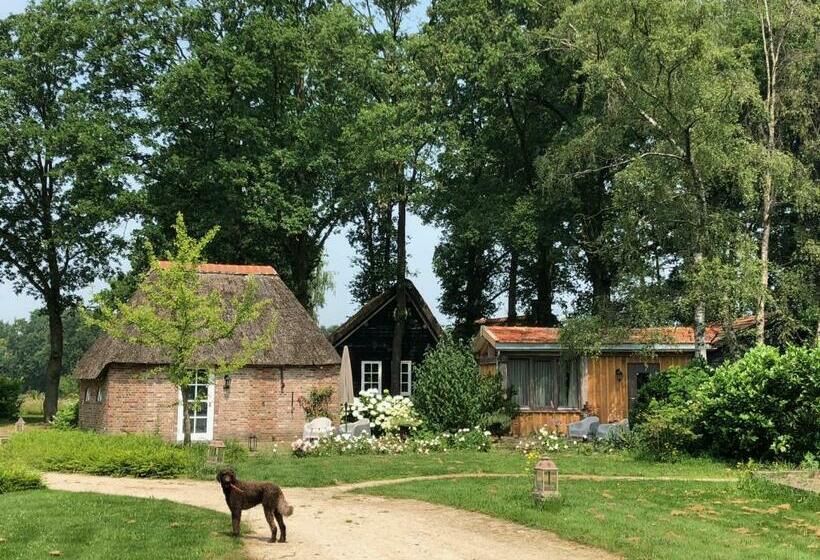 ベッドアンドブレックファースト Hof Van Eersel