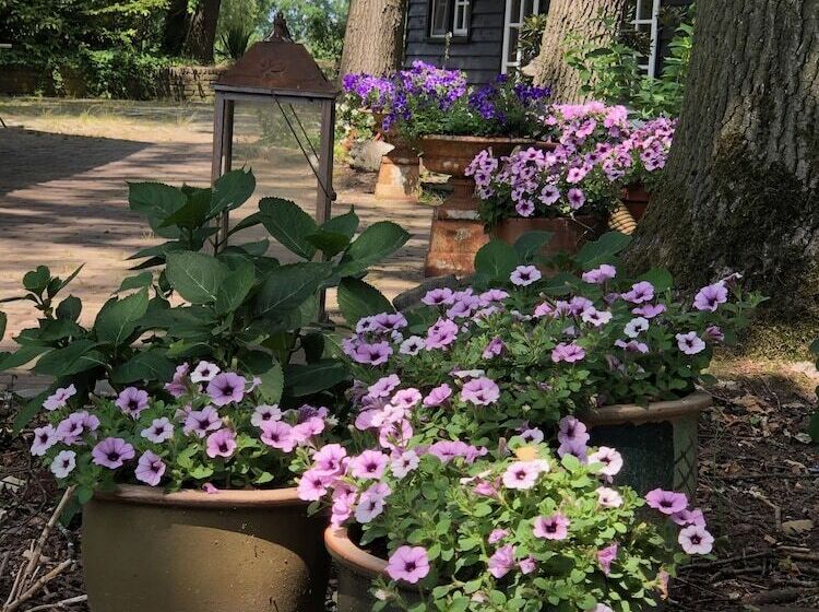 ベッドアンドブレックファースト Hof Van Eersel