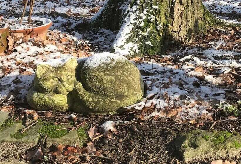 צימר Hof Van Eersel