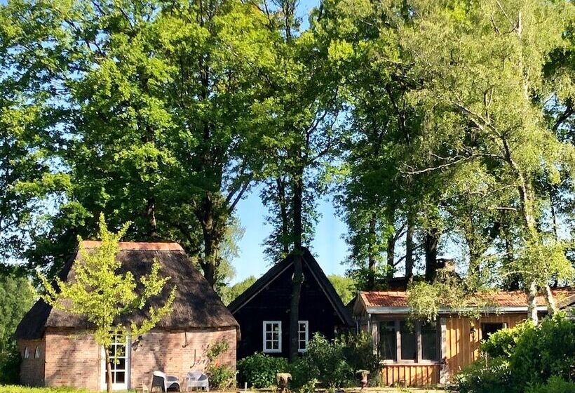 ベッドアンドブレックファースト Hof Van Eersel