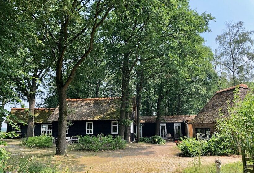 ベッドアンドブレックファースト Hof Van Eersel