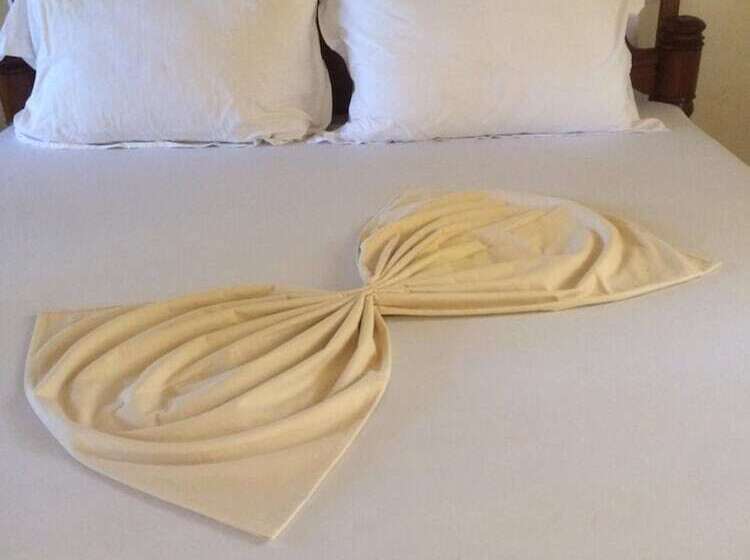 ベッドアンドブレックファースト Mpole Bungalows