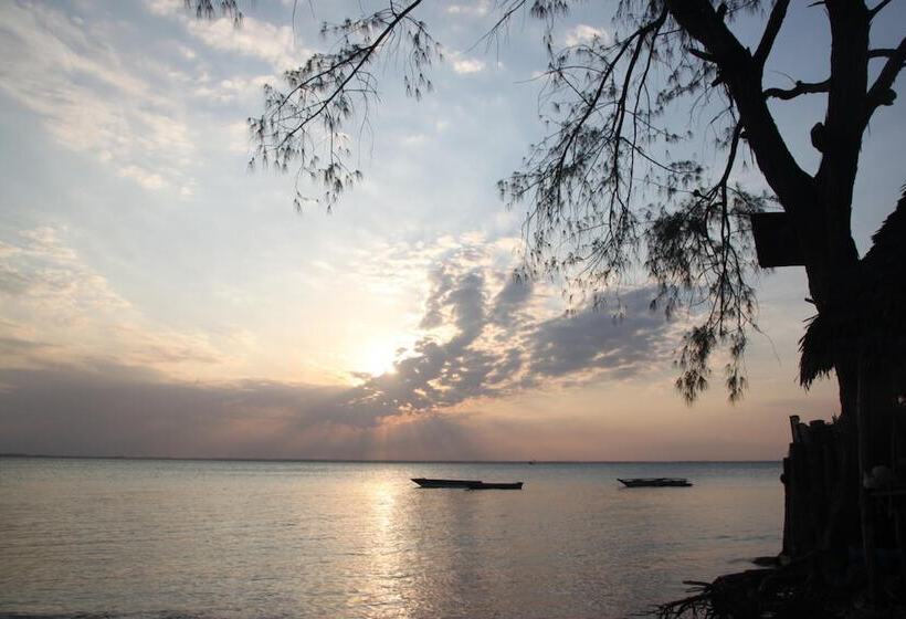 ベッドアンドブレックファースト Mpole Bungalows