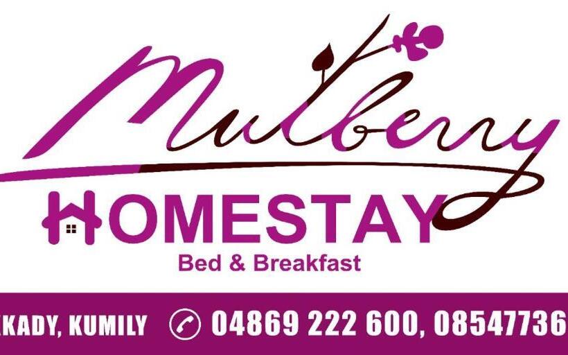 تختخواب و صبحانه Mulberry Homestay