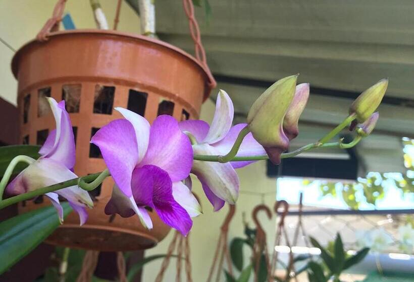 تختخواب و صبحانه Mulberry Homestay