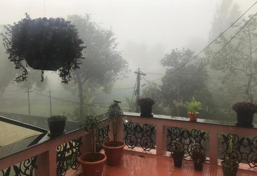 تختخواب و صبحانه Mulberry Homestay