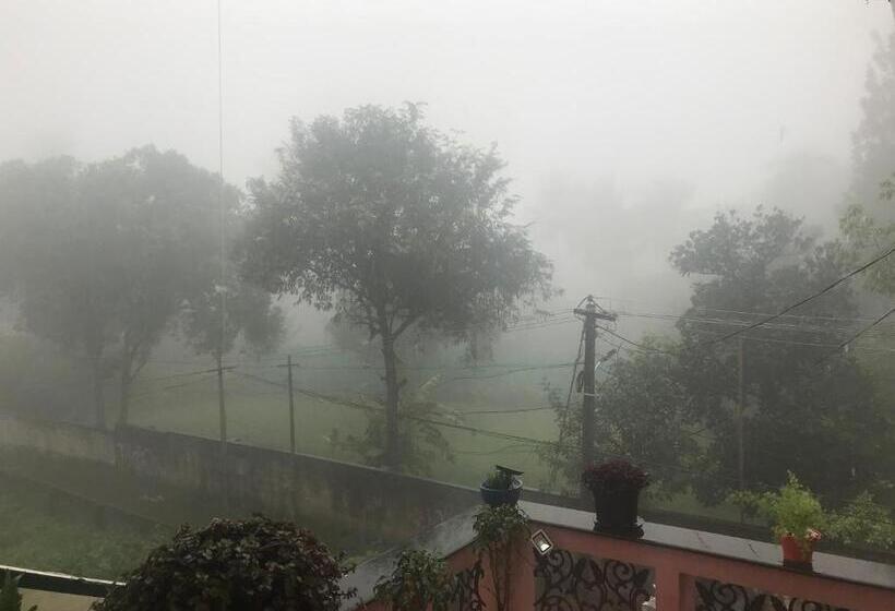 تختخواب و صبحانه Mulberry Homestay