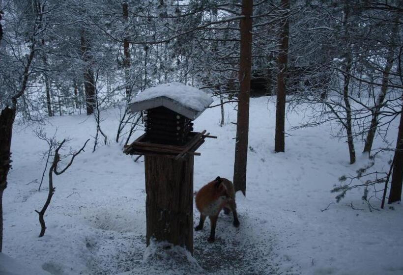 ベッドアンドブレックファースト Neljän Tuulen Tupa