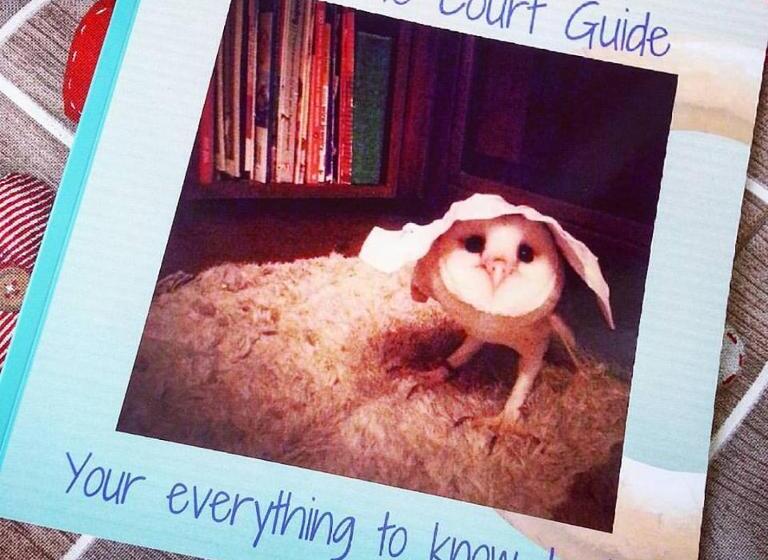 تختخواب و صبحانه Sunshine Court