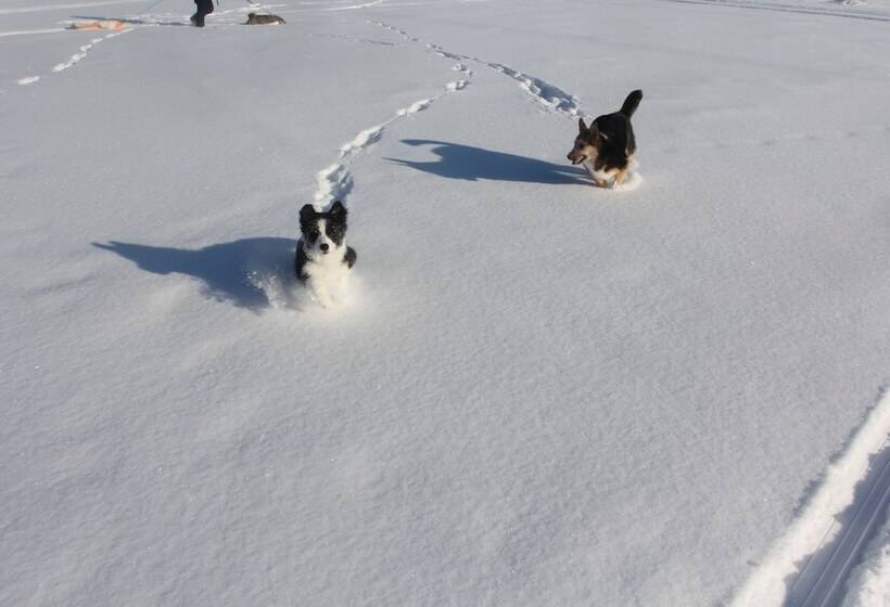 צימר Wanha Autti Camping Rovaniemi