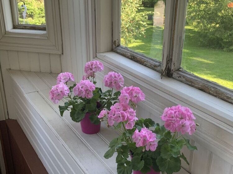 مبيت وإفطار Wanhan Apteekin Majatalo