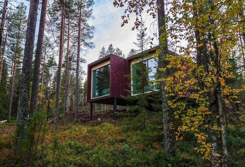 ホテル Arctic Treehouse