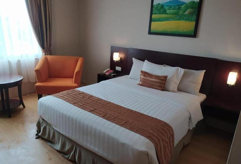 هتل Asialink Premier