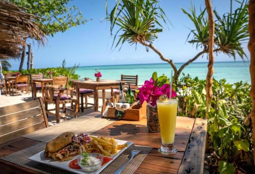 酒店 Aya Beach Resort