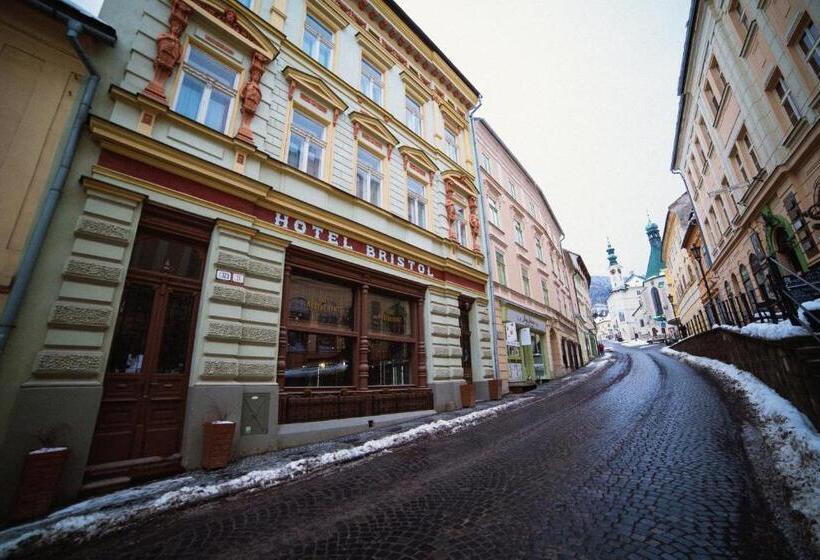 فندق Bristol