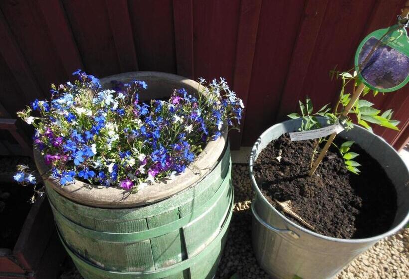 בית מלון כפרי & Cafe Lanterna