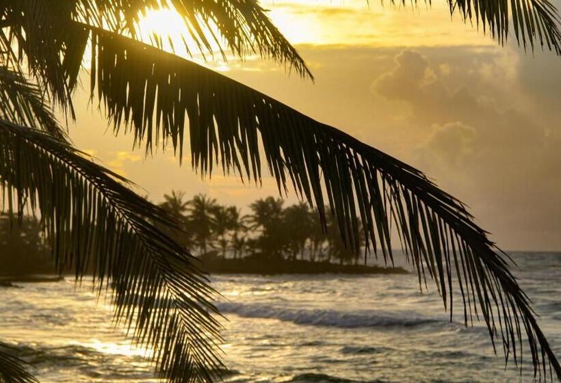 ホテル Casa Canada