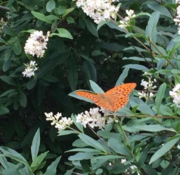 Eckerö Hotell & Restaurang