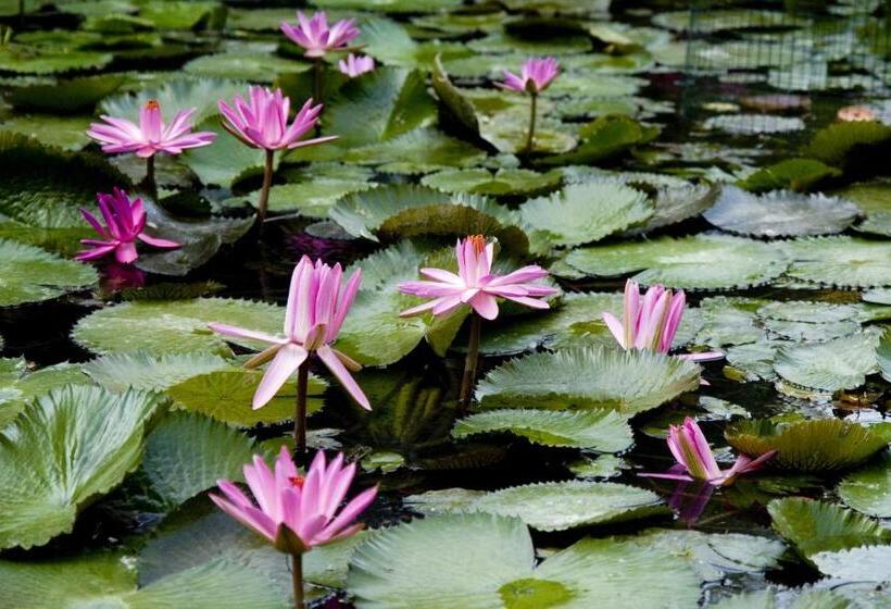 فندق Ensana Vila Trajan