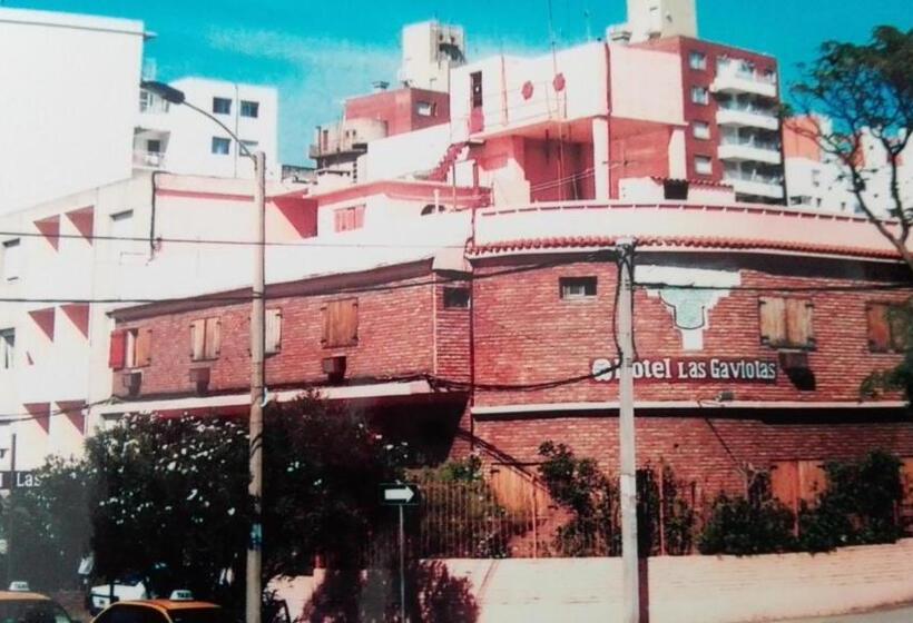 هتل Gaviota