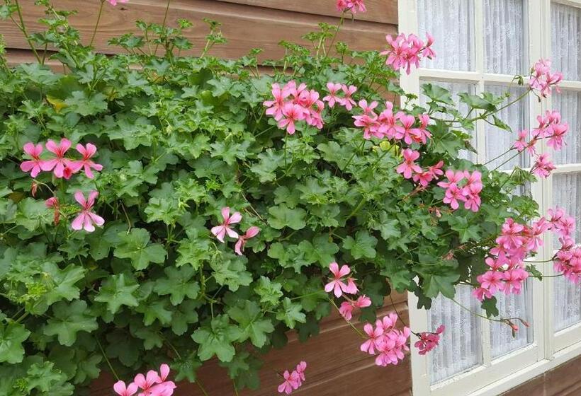 فندق Het Uilenbos