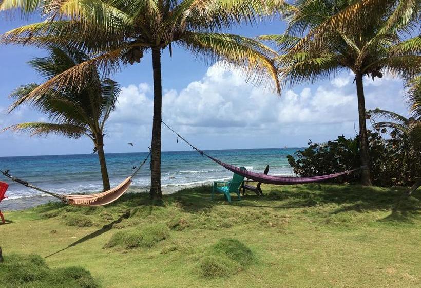 酒店 La Princesa De La Isla